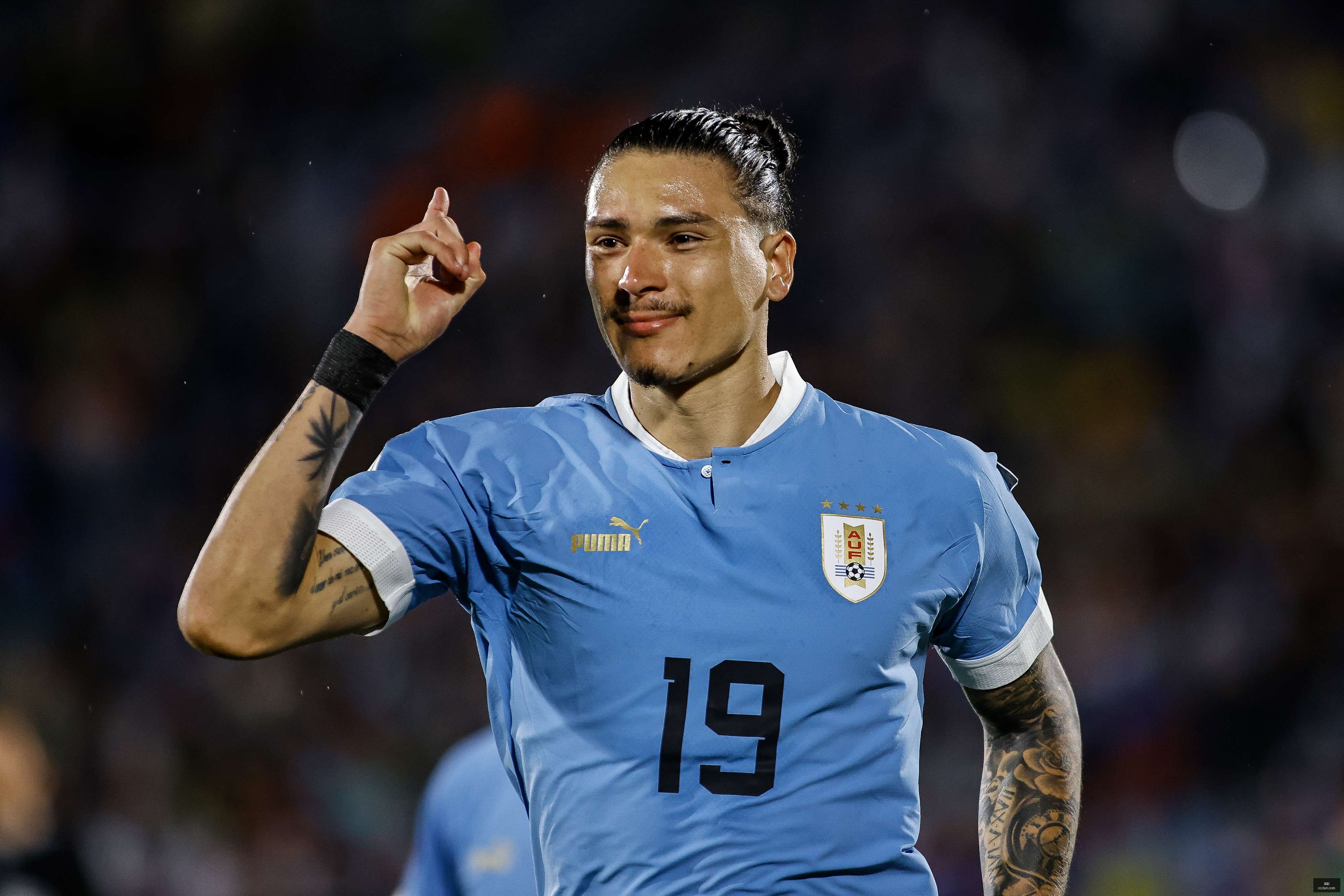 世界杯,足球,世界杯2023,世界杯,足球,世界杯2023,体育赛事,全球赛事,球迷,世界杯比赛,国际足球,世界杯新闻,世界杯赛程